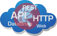 REST API